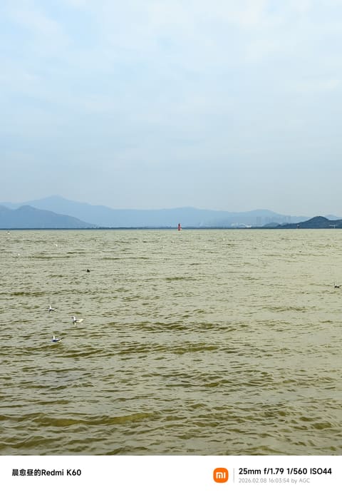 深圳湾照片 2026-02-08 16:03:54