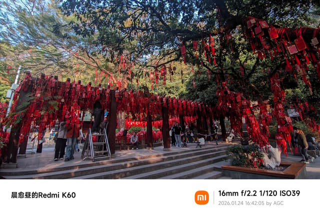 凤凰山照片 2026-01-24 16:42:05