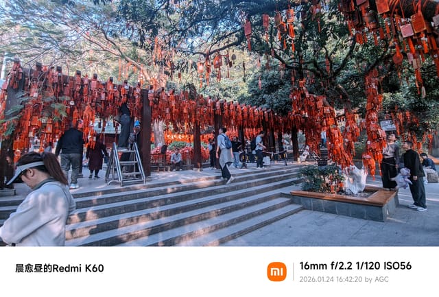 凤凰山照片 2026-01-24 16:42:20
