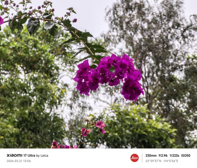 MVIMG_20260321_135617