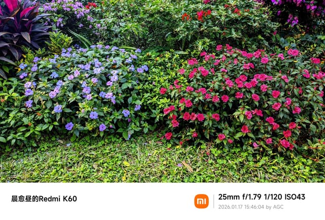 莲花山照片 2026-01-17 15:46:04