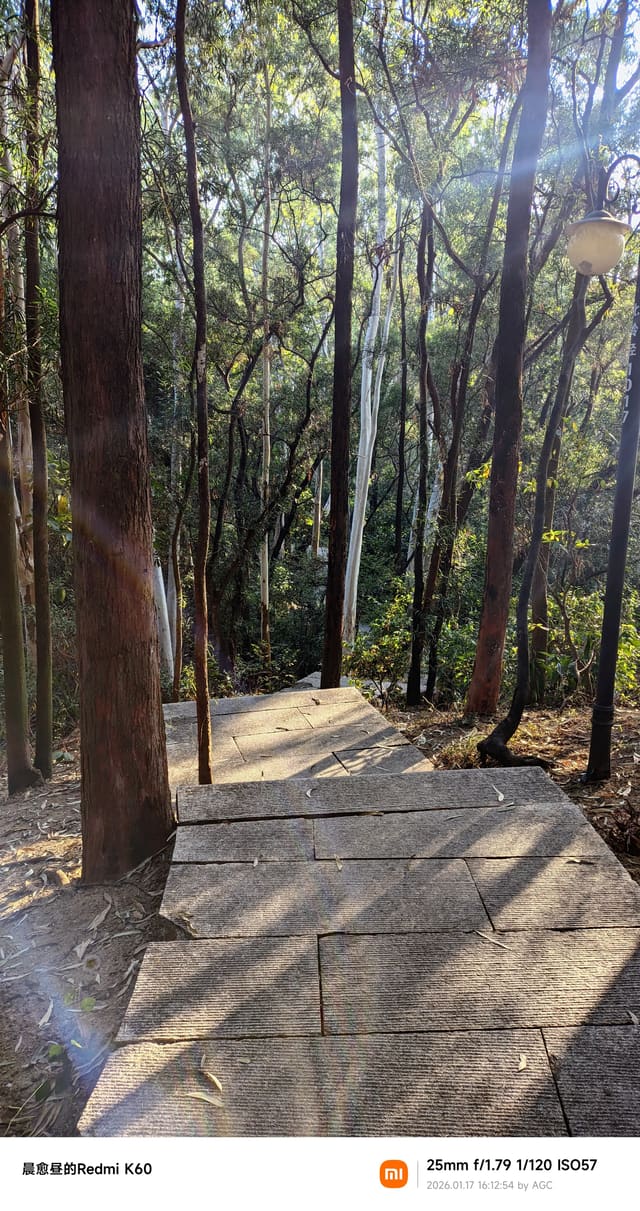 莲花山照片 2026-01-17 16:12:54