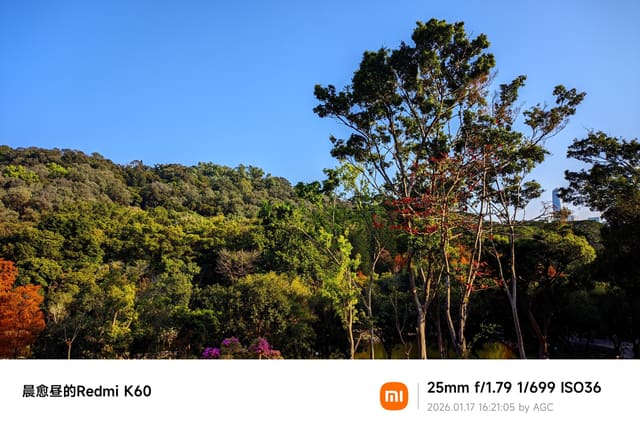 莲花山照片 2026-01-17 16:21:05