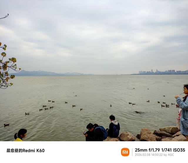 深圳湾照片 2026-02-08 14:00:22