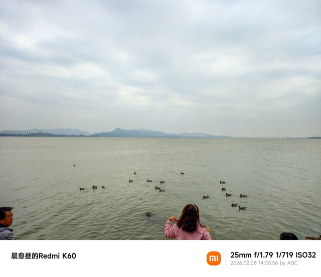 深圳湾照片 2026-02-08 14:00:56