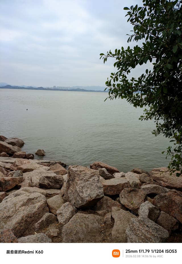 深圳湾照片 2026-02-08 14:06:16