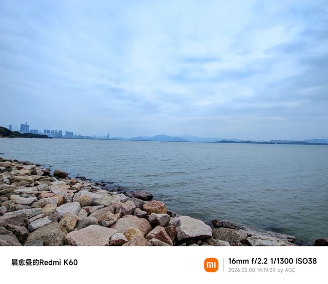 深圳湾照片 2026-02-08 14:19:39