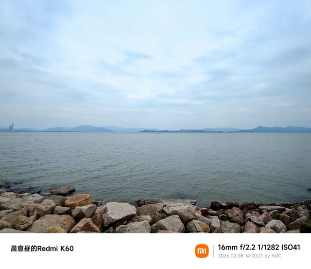 深圳湾照片 2026-02-08 14:20:21