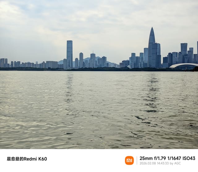 深圳湾照片 2026-02-08 14:43:33