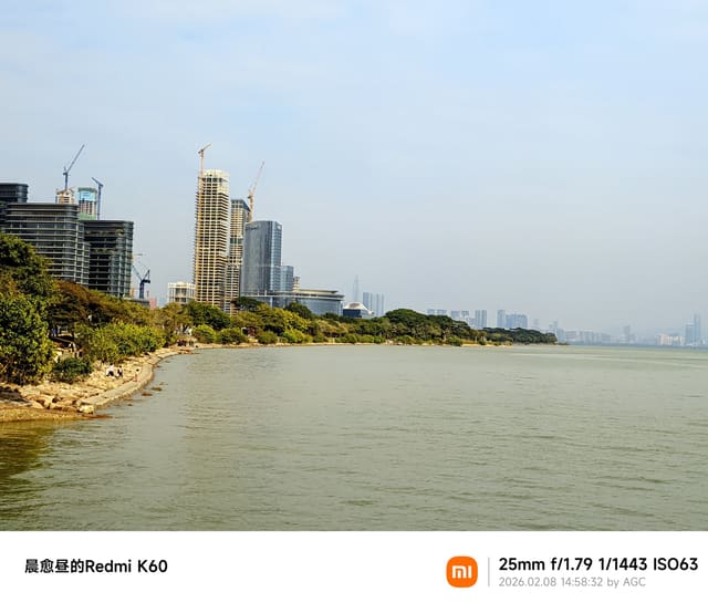深圳湾照片 2026-02-08 14:58:32