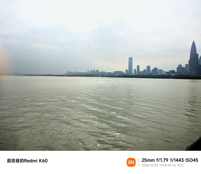 深圳湾照片 2026-02-08 14:58:48
