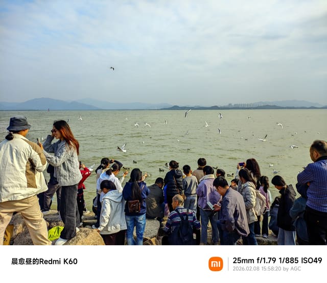 深圳湾照片 2026-02-08 15:58:20