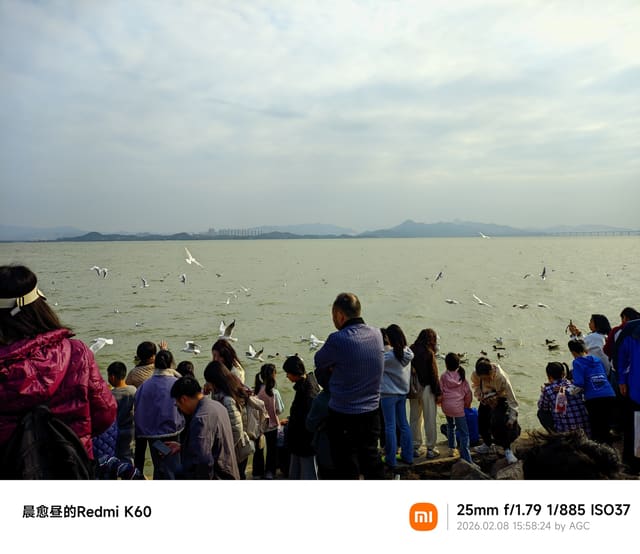 深圳湾照片 2026-02-08 15:58:24