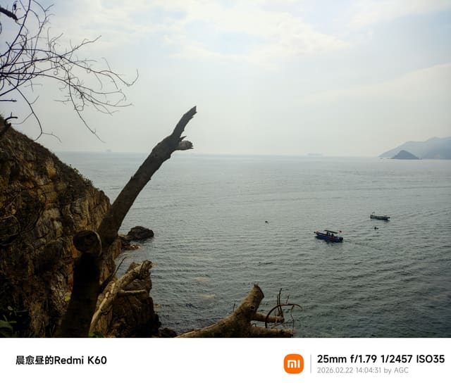 CRnall_20260222_140431595