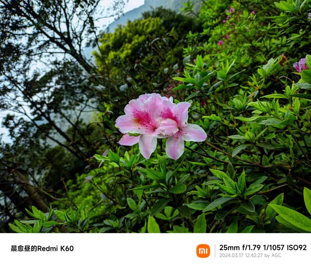 CRnall_20240317_124227230