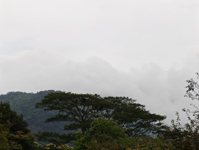 MVIMG_20260328_154429