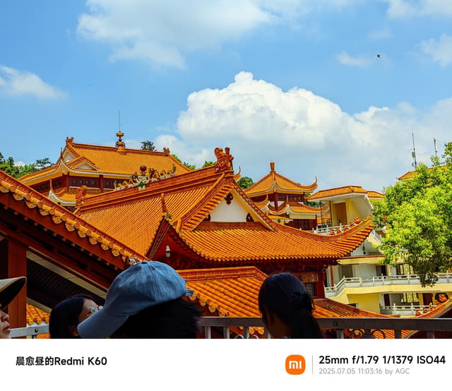 仙湖植物园照片 2025-07-05 11:03:16