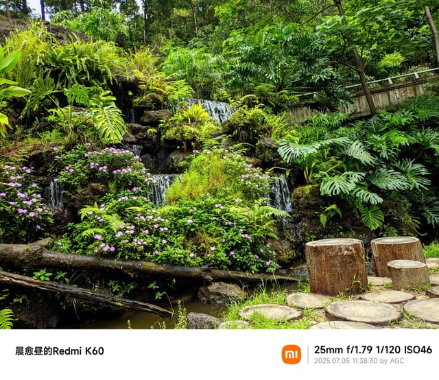 仙湖植物园照片 2025-07-05 11:38:30