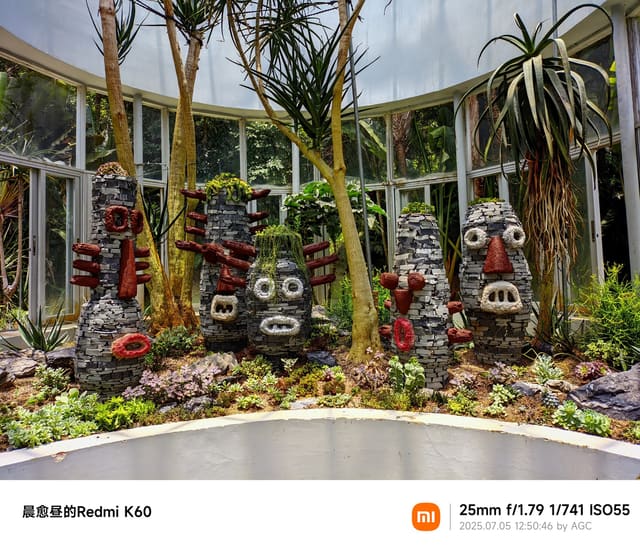 仙湖植物园照片 2025-07-05 12:50:46