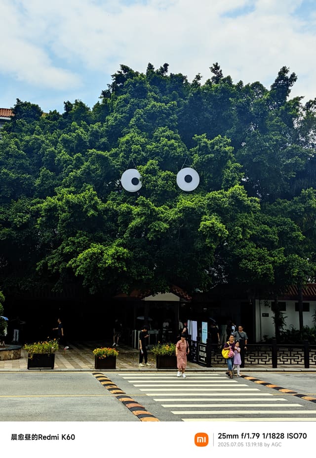 仙湖植物园照片 2025-07-05 13:19:18