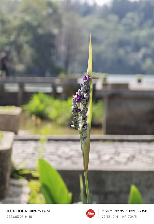 IMG_20260307_141808