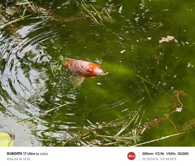 MVIMG_20260418_153204